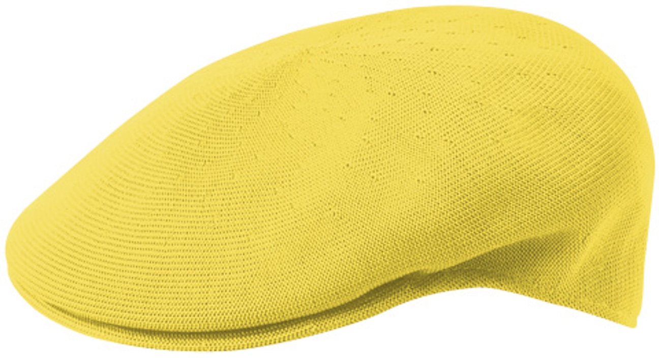 Hot Sale! Kangol Tropic Flat Cap 504, EUR 9,95 > Hats, caps & beanies