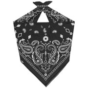 Tec-Paisley-Black-Bandana-by-H