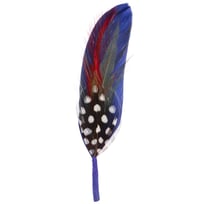 Hutfeder by Stetson - 1,99 &euro;