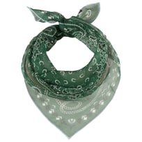 Paisley Seidentuch by Fraas - 39,95 &euro;