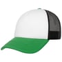 Tricolore Rapper Cap grün