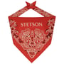 Paisley Bandana by Stetson rot