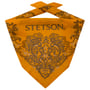 Paisley Bandana by Stetson gelb