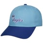 Lakers 2.0 Pro HWC Cap by Mitchell & Ness blau
