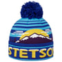 Snowy Mountains Freestyle Beanie by Stetson blau-gelb