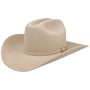 Skyline 6X Fur Felt Westernhat by Stetson lysebeige