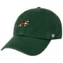 Clean Up Dog Base Runner Icon Cap by 47 Brand grün