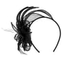 Vanola Sinamay Fascinator by Seeberger sort