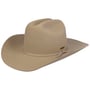 Diamondville Cattleman Westernhut by Stetson beige