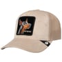 Velour Doberman Trucker Cap by Goorin Bros. hellbeige