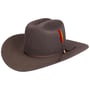 Rancher 160th Edition 6X Westernhut by Stetson grau