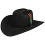 Rancher 160th Edition 6X Westernhut by Stetson schwarz