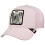 Terry Cloth Koala Cap by Goorin Bros. rosa