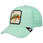 Terry Cloth Iguana Cap by Goorin Bros. mint