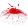 Vilisca Fascinator by Lierys rot