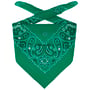 Bandana Tuch by Lipodo dunkelgrün