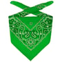 Bandana Tuch by Lipodo grün