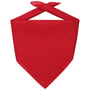 Bandana Goal rot