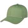 Spandex Flexfit Cap mint